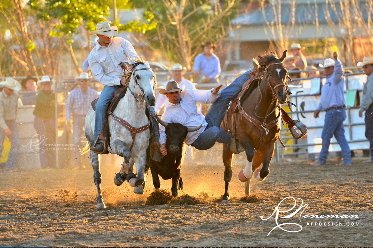 Bulldogger slides from saddle to wrestle steer at Eagle Rodeo 2013